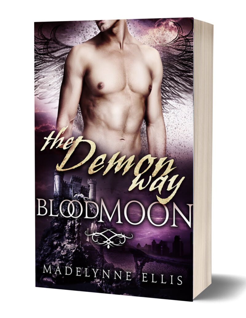 Book Cover: The Demon Way